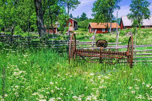 Old rusty hay tedder in a flowering meadow in the swedish countryside