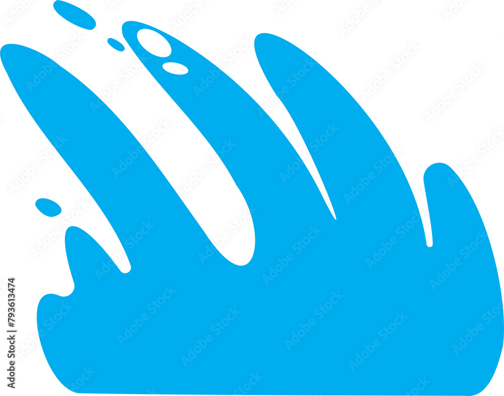 Obraz premium The water splash for decor concept