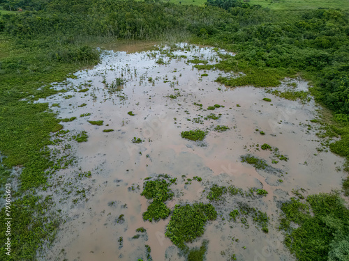 Small Swamp in Itaja Goias photo