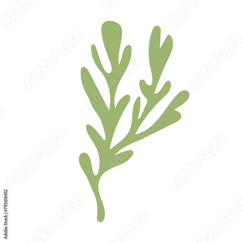 Algae. Underwater life. Abstract Seaweed Shape. Aesthetic Element.