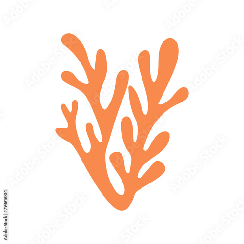 Coral. Underwater life. Abstract Seaweed Shape. Aesthetic Element.