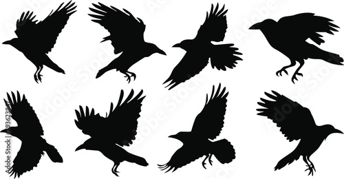 Crow silhouettes and flying crow silhouettes set. Vector illustration