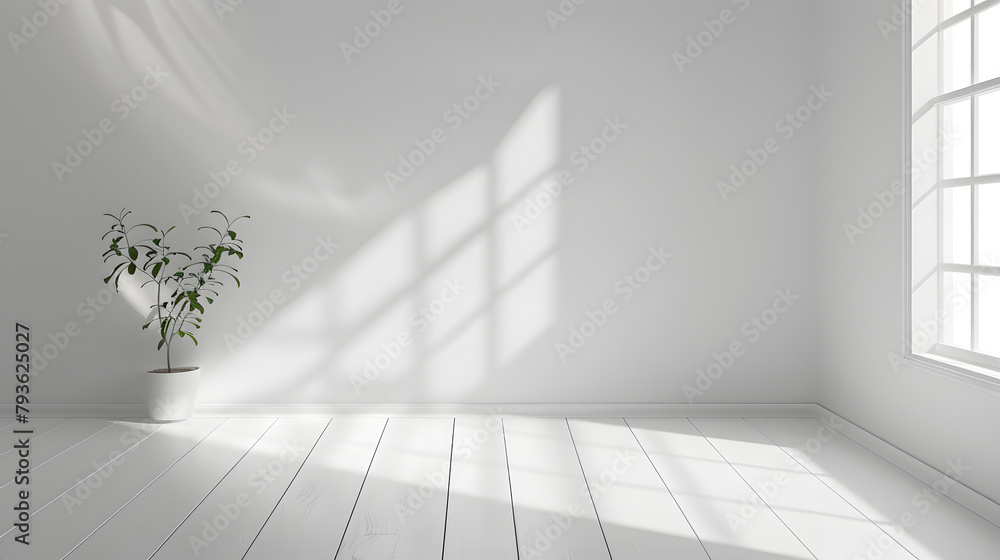 Fototapeta premium Minimalist photography background