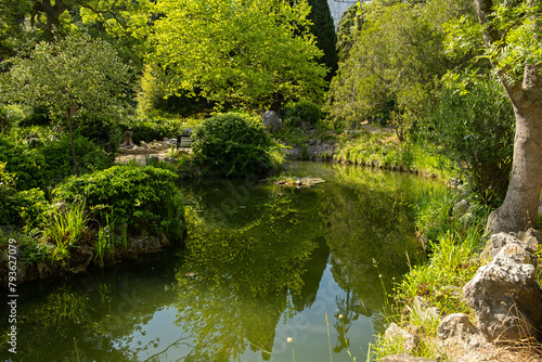 A pond with turtles in the park. A summer landscape with green trees, cypresses. Small turtles swim in an ornamental pond. Beautiful kind natural background. The concept of rest, weekend walks