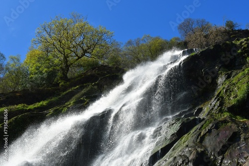 waterfall in the forest