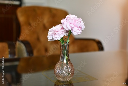 Flower in a vase