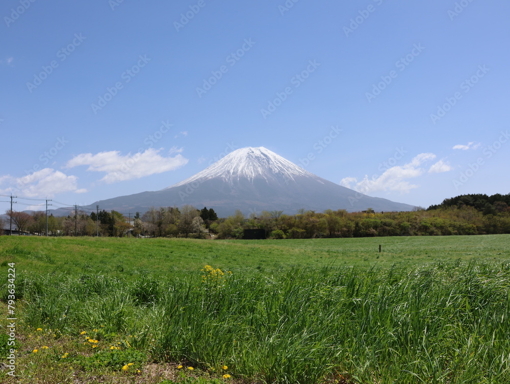 Fototapeta premium 朝霧高原バス停より春の富士山の景色