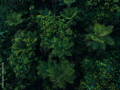 Aerial view of beautiful tropical forest mountain landscape in spring