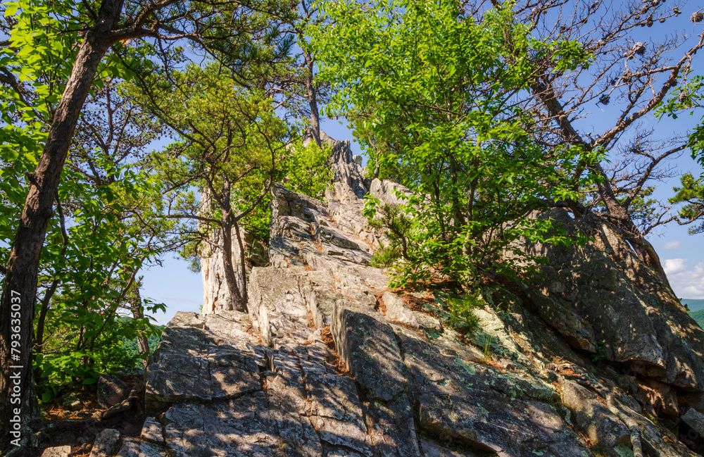 Spruce Knob-Seneca Rocks National Recreation Area, Park in Riverton, West Virginia Spruce Knob-Seneca Rocks National Recreation Area, Park in Riverton, West Virginia