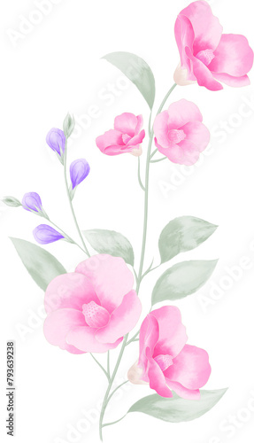 Watercolor illustration of flowers