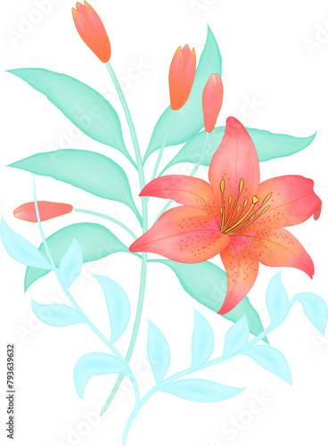 Watercolor illustration of flowers