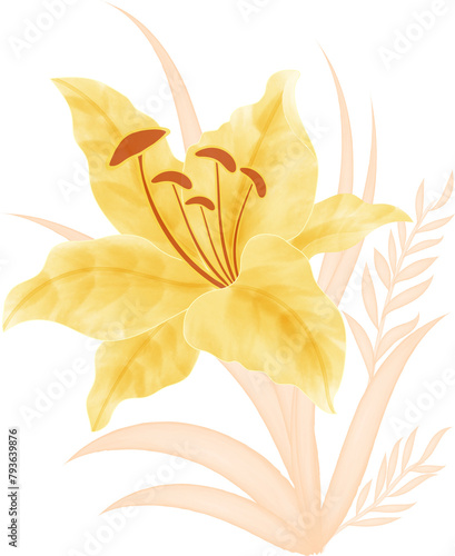 Watercolor illustration of flowers