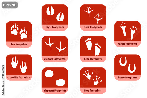 Animals footprints. Set of animal footprints and animal name descriptions. icons of animal footprints, chicken, crocodile, lion, elephant, etc
