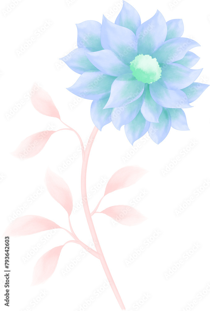 Watercolor illustration of flowers