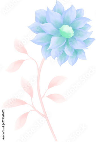 Watercolor illustration of flowers