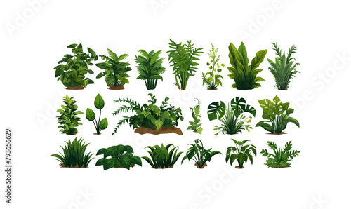 bush set vector flat minimalistic isolated illustration