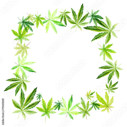 Banner, template with a green frame of Cannabis indica, Marijuana medicinal plant. Watercolor illustration