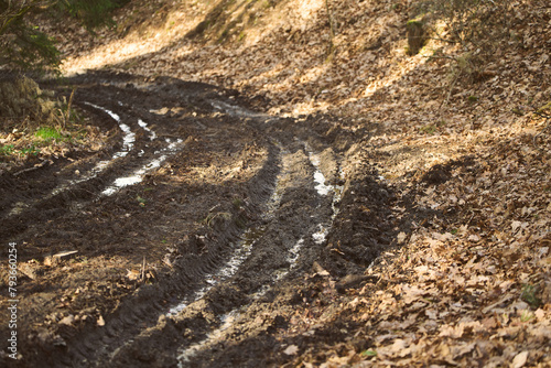 Off the Beaten Path: The Environmental Toll of Illegal Offroading