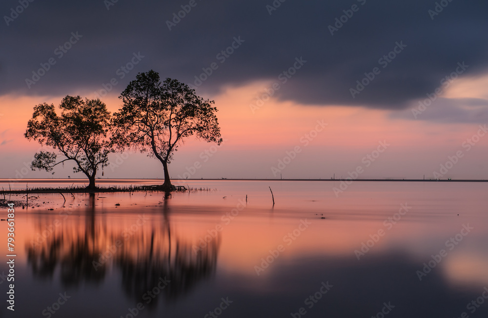 Morning sea, beautiful sky, reflection of trees