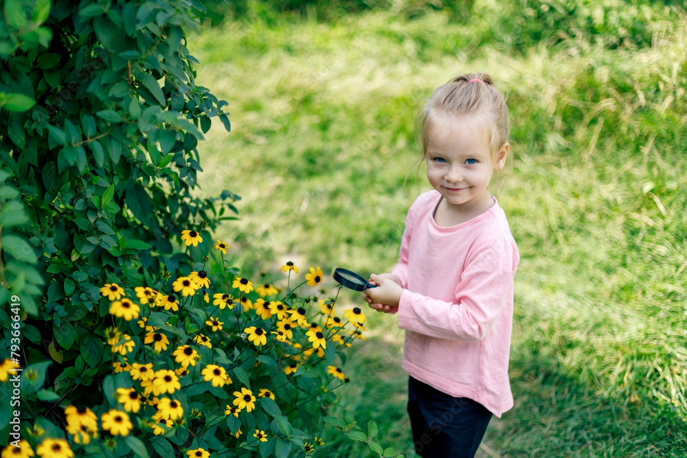 A child examines a flower under a magnifying glass A child examines a flower under a magnifying glass