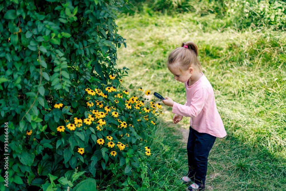 A child examines a flower under a magnifying glass A child examines a flower under a magnifying glass