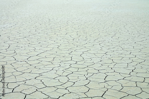 Image of heat and drought. Global warminga (man-made climate change, ecological turnover). Endless dried-up plain with chapped ground and dead dried plants. Desertification and soil degradation