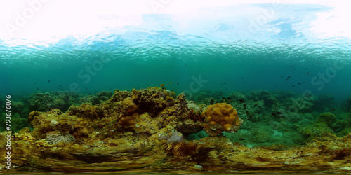 Fototapeta Naklejka Na Ścianę i Meble -  Tropical coral reef. Underwater fishes and corals. Underwater fish reef marine. Philippines. Virtual Reality 360.