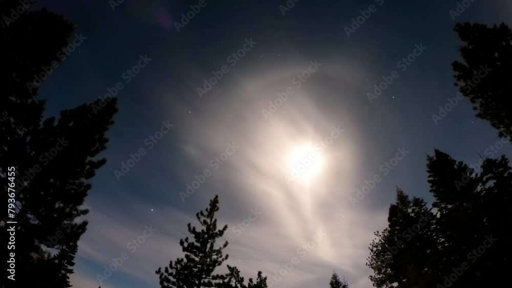 A mesmerizing all-night timelapse of towering pine trees silhouetted against a starry night sky in South Lake Tahoe, California as the Milky Way shimmers overhead. A mesmerizing all-night timelapse of towering pine trees silhouetted against a starry night sky in South Lake Tahoe, California as the Milky Way shimmers overhead.
