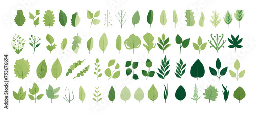 Green leaves big vector collection - Set of graphical elements with various leaf designs in different shapes and sizes. Flat design with white background