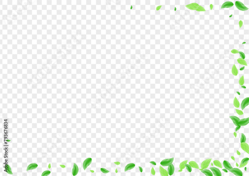 Light Green Plant Background Transparent Vector. Greenery Bio Illustration. Blend Texture. Greenish Food Card. Vegetation Flora.