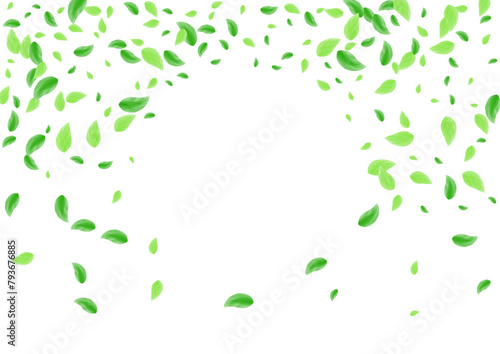 Light Green Leaves Background White Vector. Vegetation Decorative Card. Eucalyptus Illustration. Green Silhouette Frame. Plant Abstract.