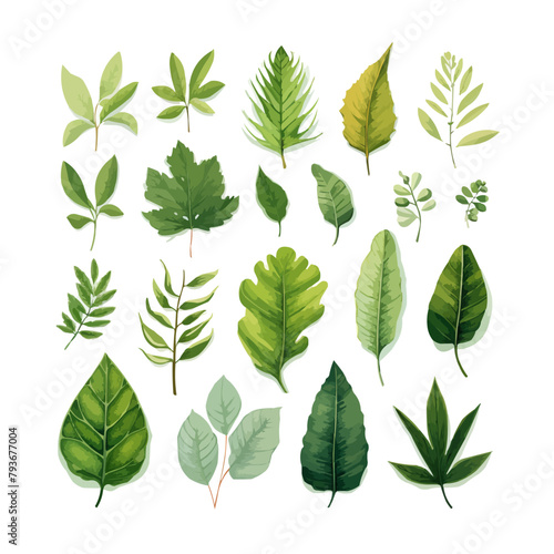 Hand drawn vector illustrations of 18 green leaves