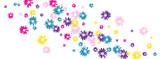 Colorful Petal Background White Vector. Daisy Festive Banner. Color Garden Romantic. Young Texture. Factory Violet Flowers.