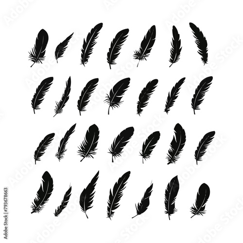 Vector Feathers Set. Elements for design isolated on white. Bird feather icon silhouette collection. Vector illustration