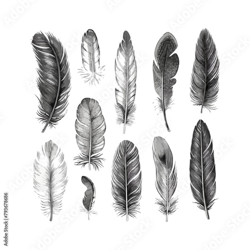 Vector Feathers Set. Elements for design isolated on white. Bird feather icon silhouette collection. Vector illustration