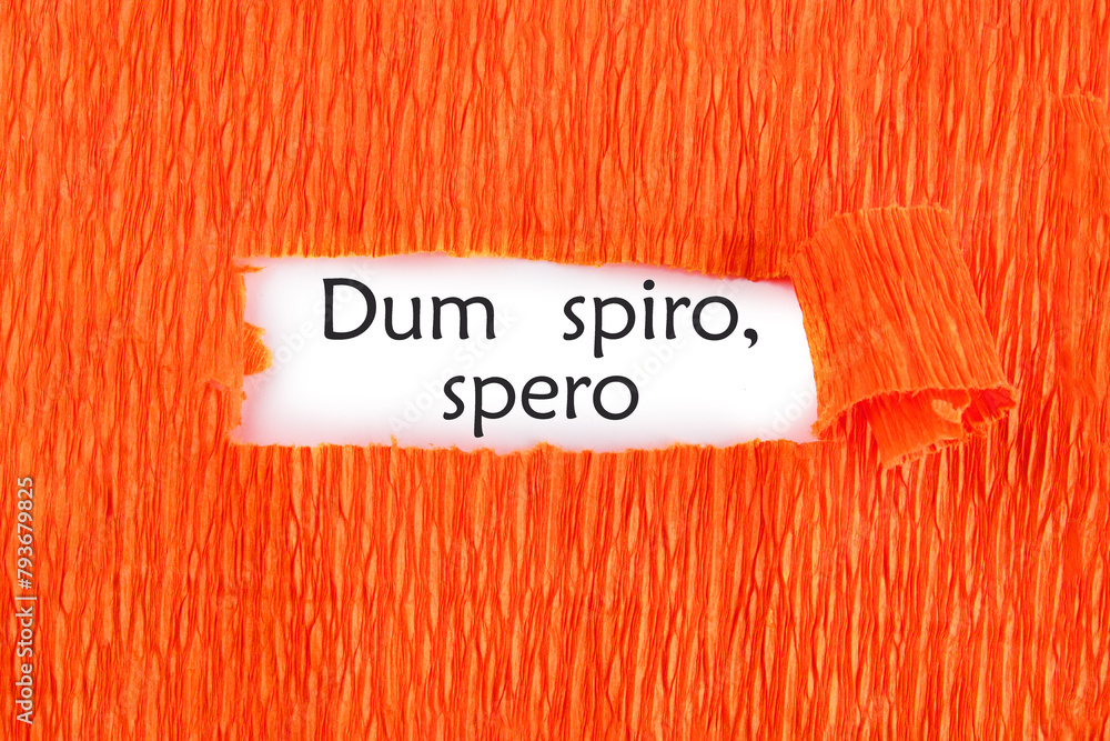 Dum Spiro Spero - latin phrase means While I Breath, I Hope. on a white sheet under an orange background - obrazy, fototapety, plakaty 