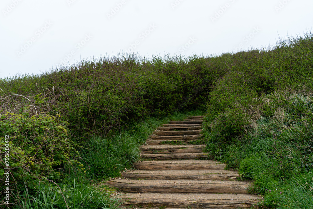 Trail with the wooden stairs in the field. Outdoor walking route and wanderlust lifestyle.
