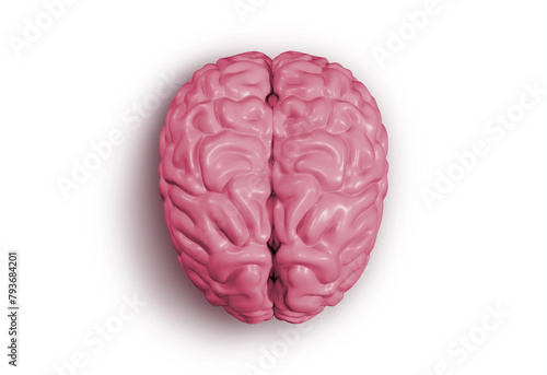 3D rendering of human brain on white background