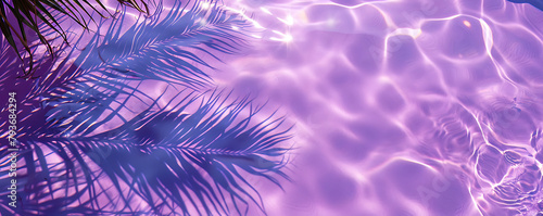 Shadow of a palm tree falls on the purple water in the pool top view background copy space for text.