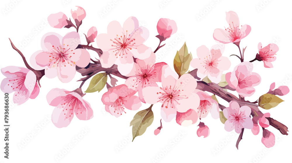 Watercolour Sakura Flowers Pixie Clipart 2d flat ca