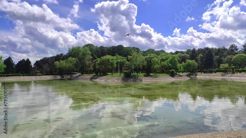 Serene scenery with white puffy clouds  , lush green vegetation and the fresh water of the King Mihai The First Park in  Ploiesti City , Romania photo