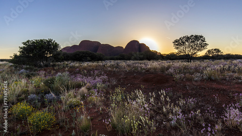 sunrise behind the Olga Mountains, Red Center, Australia