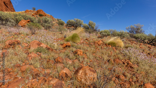 hiking in the Valley of the Winds, Olga's Mountain, Northern Territory, Australia