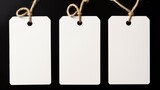 Blank Paper Tags with Strings for Retail Display.