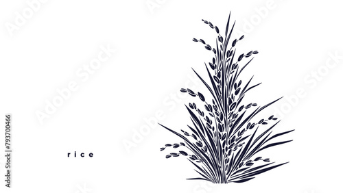 Rice plantation Vector graphic plant, shape grains