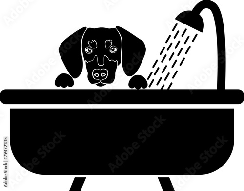 Dog bath icon 