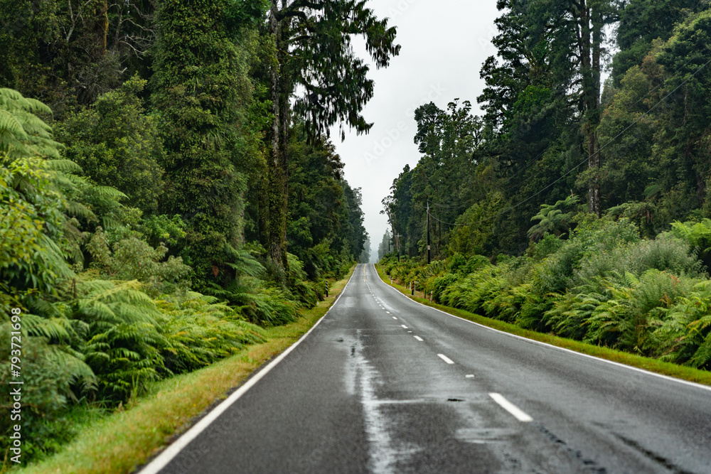 Driving in new zealand Driving in new zealand