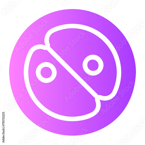 zygote gradient icon