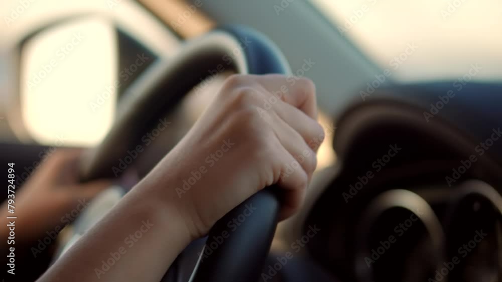 Driver holds steering wheel, enjoying road trip Driver holds steering wheel, enjoying road trip