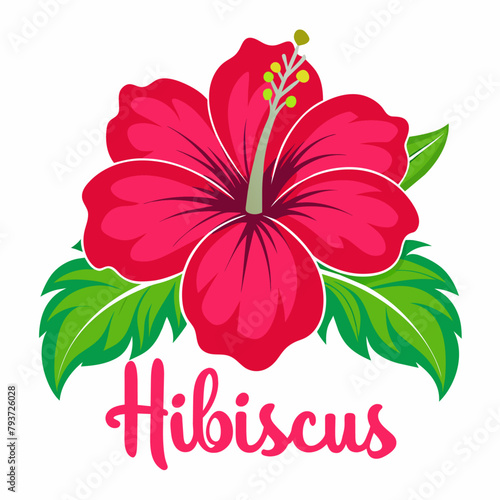 a hibiscus flower vector art illustration (3)
